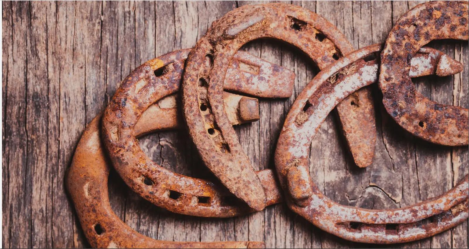 Viel rostige hufeisen auf holzwand Viel rostige hufeisen auf holzwand