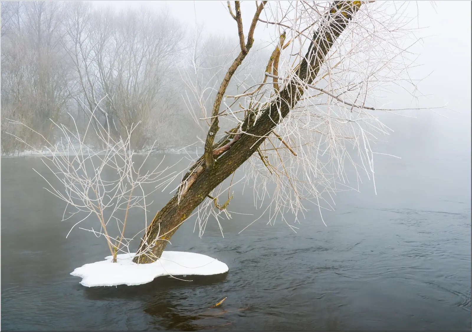 Postkarte im Winter Baum schwimmt im Wasser Frost A6 Postkarte im Winter Baum schwimmt im Wasser Frost