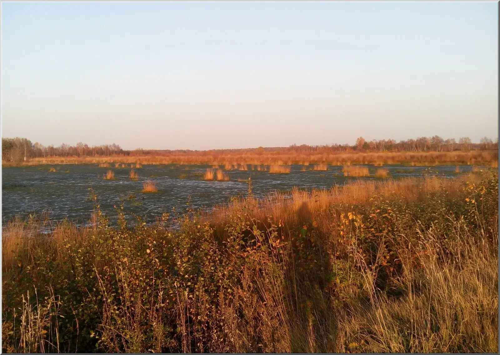 Postkarte Landschaft Wasser und Gräser im HErbst A6 Postkarte Landschaft Wasser und Gräser im HErbst
