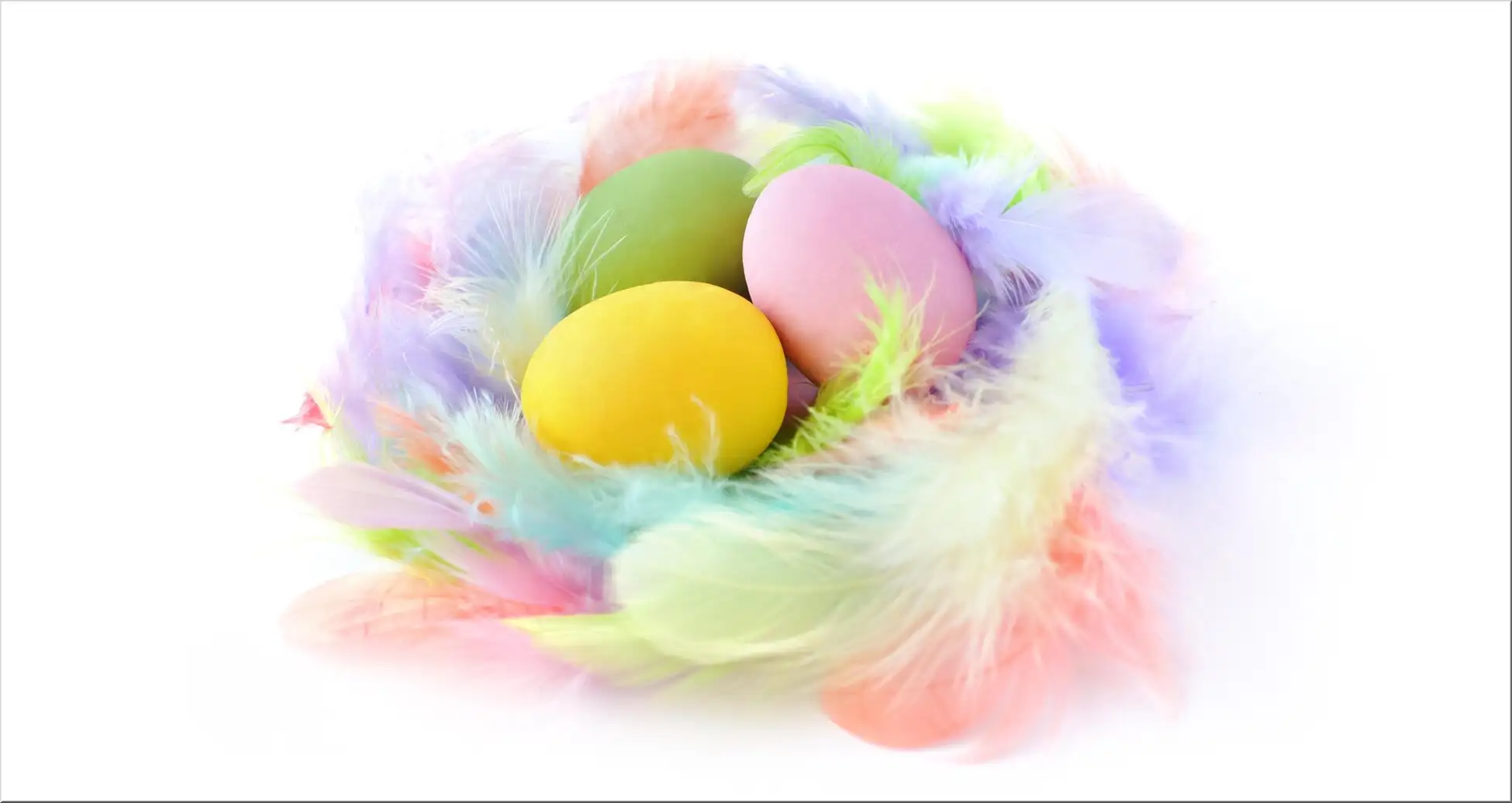 Eier Ostern Federn Bunt Pastell Osternest Osterei Leicht Bunte Eier Im Federnest