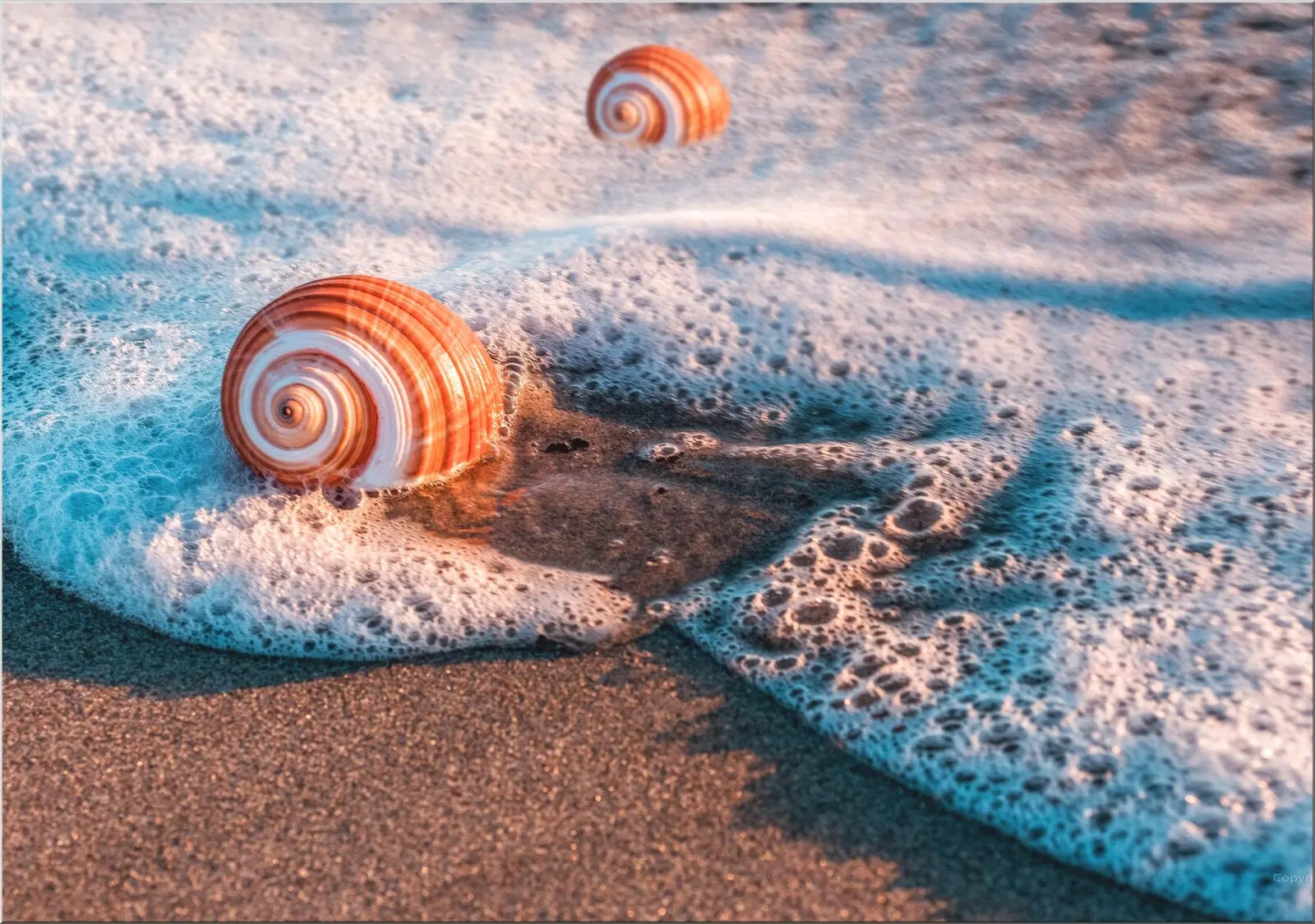 Schöne Postkarte mit Muscheln am Strand. Din A6 Größe