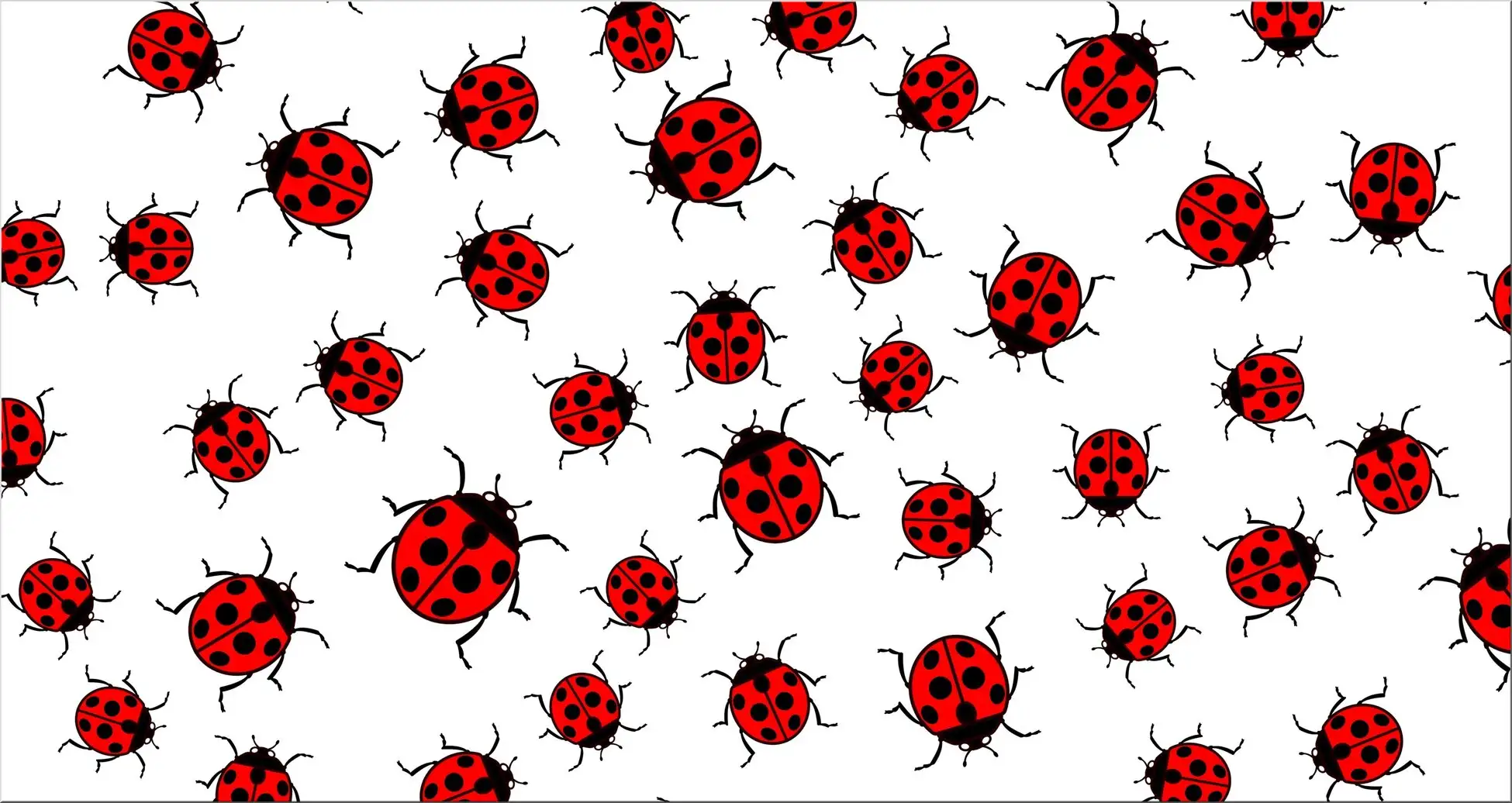 Viele Marienkäfer Auf Weißem Grund Glücksmotiv Viele Marienkäfer Auf Weißem Grund