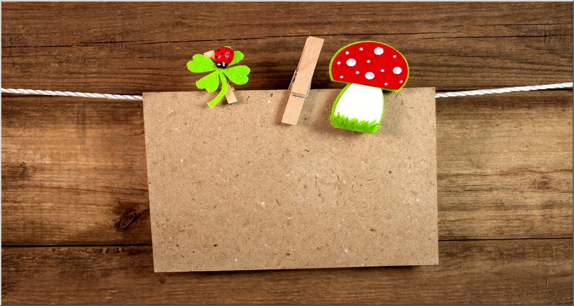 Postkarte Maxi Marienkäfer Kleeblatt Fliegenpilz Auf Der Leine Aufgehängt Postkarte Maxi Marienkäfer Kleeblatt Fliegenpilz