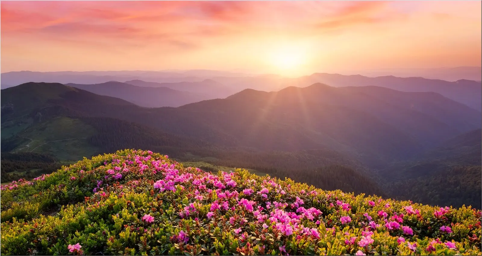 Extra große Postkarte mit Berglandschaft im Sonnenschein wunderschön Extra große Postkarte mit Berglandschaft im Sonnenschein